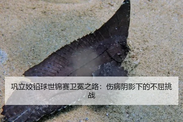 巩立姣铅球世锦赛卫冕之路：伤病阴影下的不屈挑战