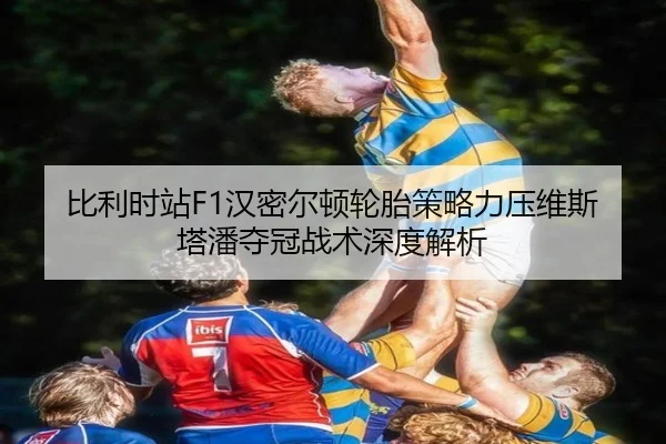 bi-li-shi-zhan-han-mi-er-dun-lun-tai-ce-lve-li-ya-wei-si-ta-pan-duo-guan-zhan-shu-shen-du-jie-xi-2-539.jpg