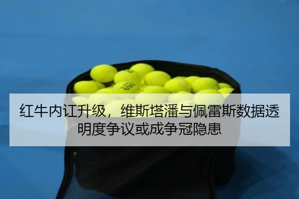 hong-niu-nei-hong-sheng-ji-wei-si-ta-pan-yu-pei-lei-si-shu-ju-tou-ming-du-zheng-yi-huo-cheng-zheng-guan-yin-huan-2-844.jpg