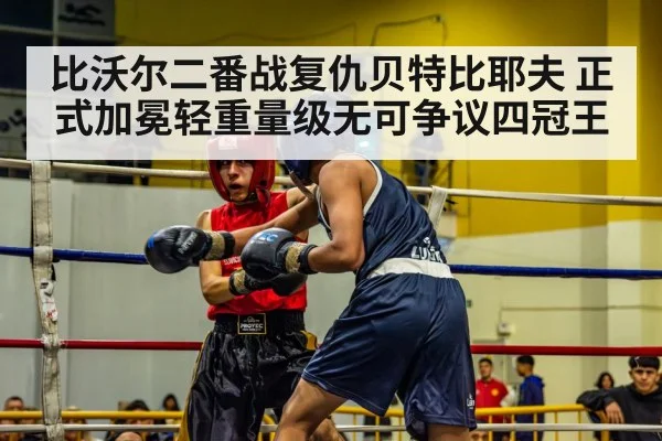 比沃尔二番战复仇贝特比耶夫 正式加冕轻重量级无可争议四冠王